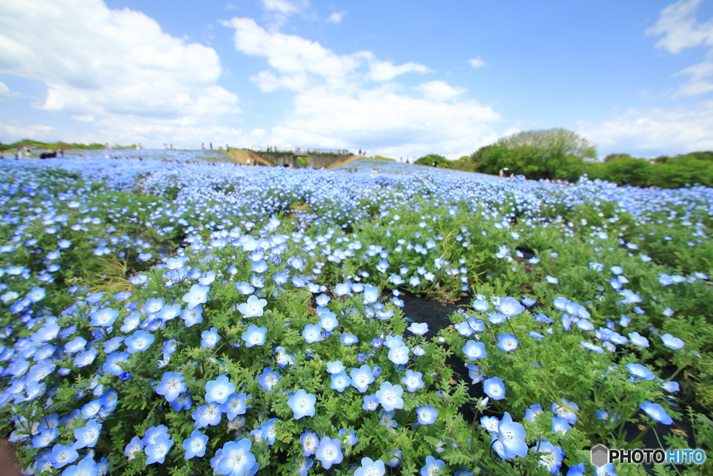 海の中道海浜公園