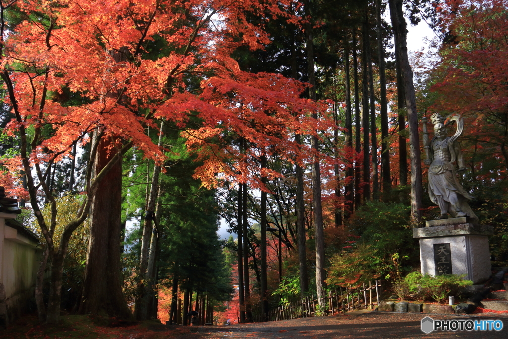 参道の紅葉