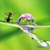 水滴メルヘン。其の3