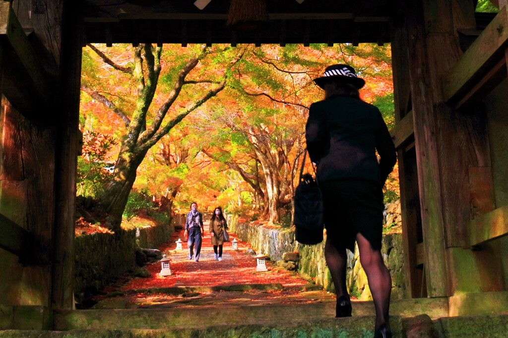 両子寺山門