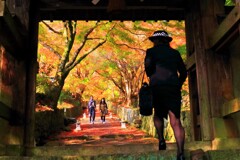 両子寺山門