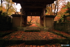 両子寺参道