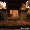 両子寺参道
