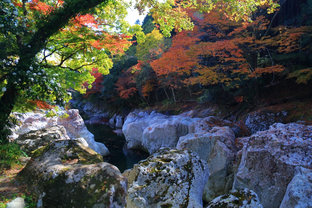 紅葉の谷