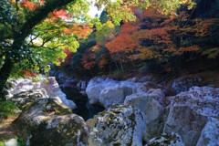 紅葉の谷
