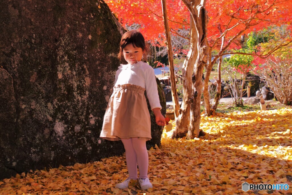 孫のポートレイト