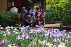 初夏の花