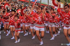 少女たちの阿波踊り