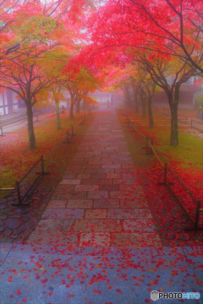 霧の参道