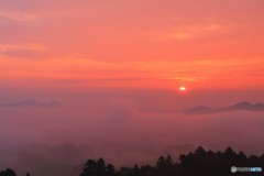 日の出に染まる雲海