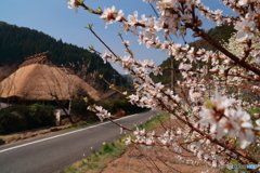 里山
