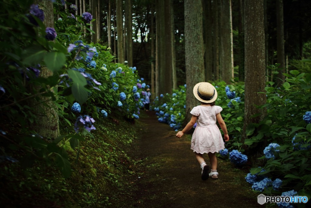 秘密の花園へ