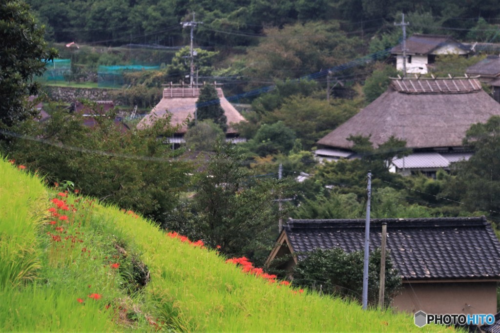 秋始まりの里山