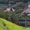 秋始まりの里山