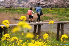 帰り道