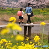 帰り道