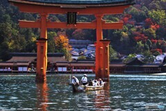 宮島の秋