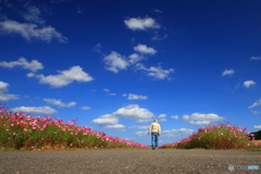 散歩道