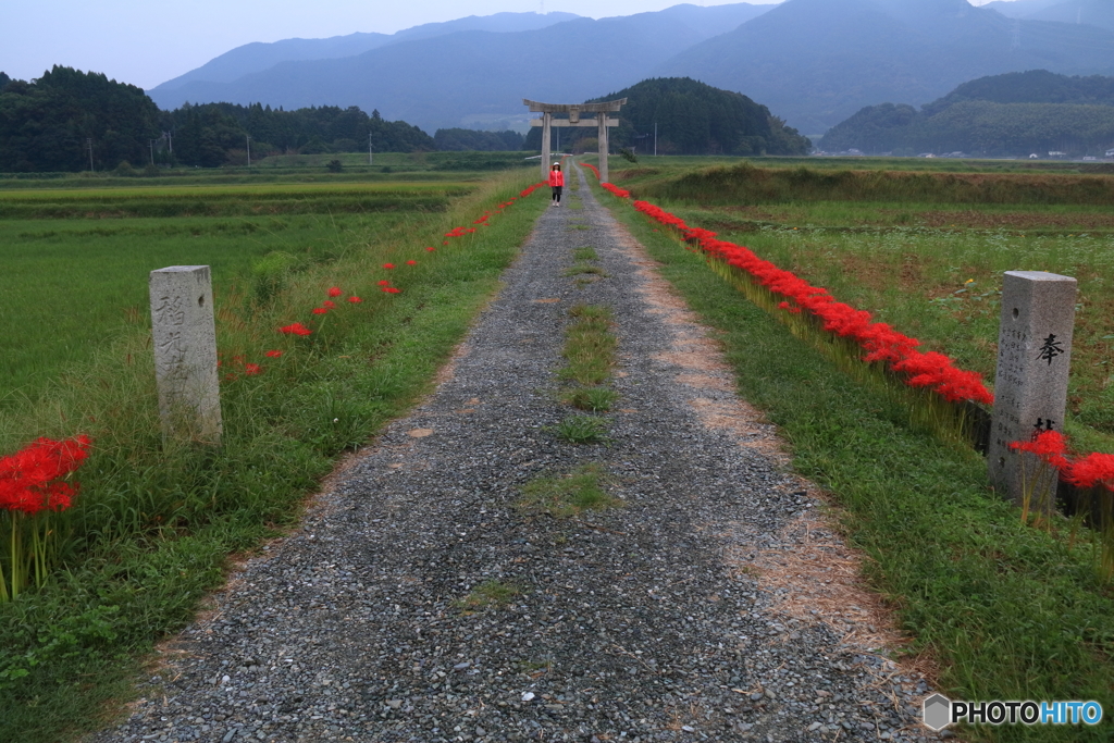 鎮守の道