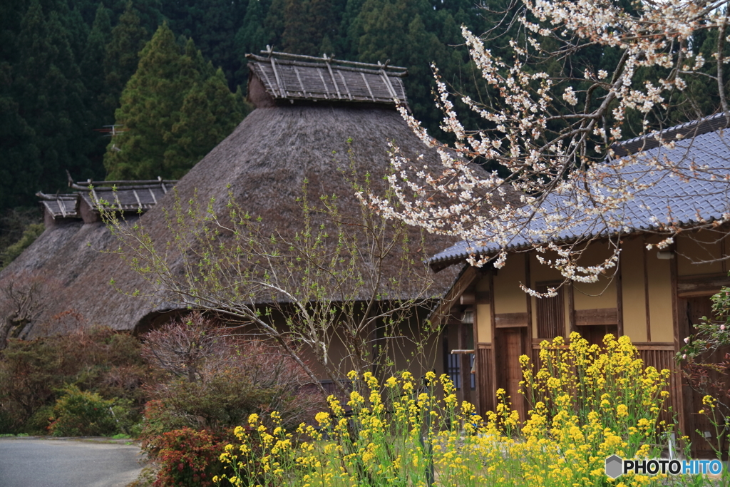里山春色