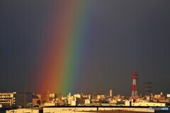 梅雨の虹