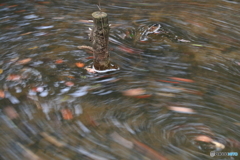 水流
