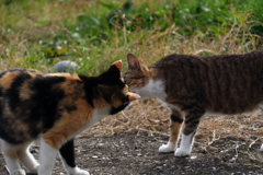 ご挨拶