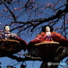 我が家のひな祭り
