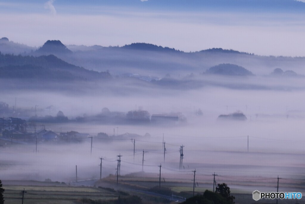 朝霧