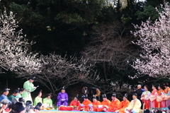 令和の里。梅花の宴