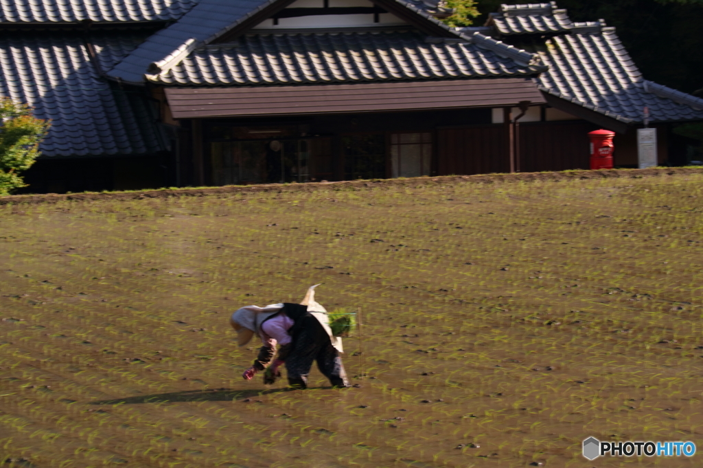 里山