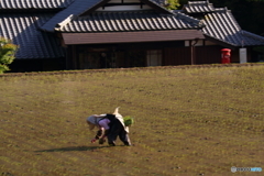 里山