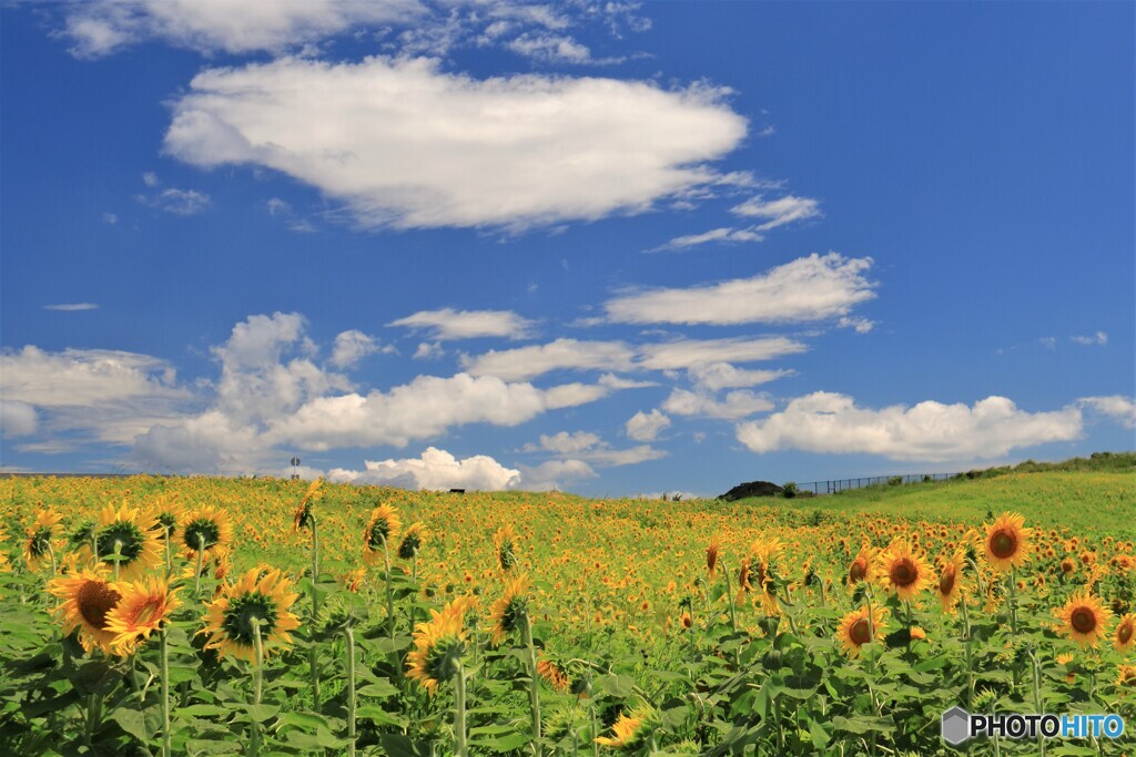 夏模様の風景