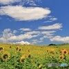 夏模様の風景