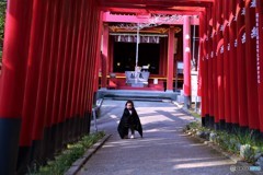 風の又三郎？