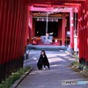 風の又三郎？