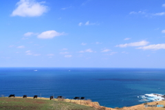 空と海が溶け合う場所