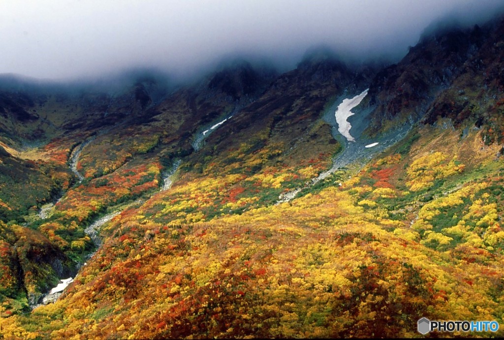 立山紅葉