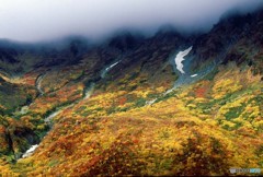 立山紅葉