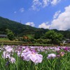 梅雨の晴れ間