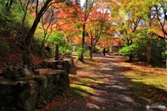 紅葉の細道