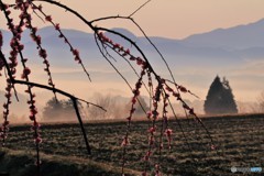 里山の風景