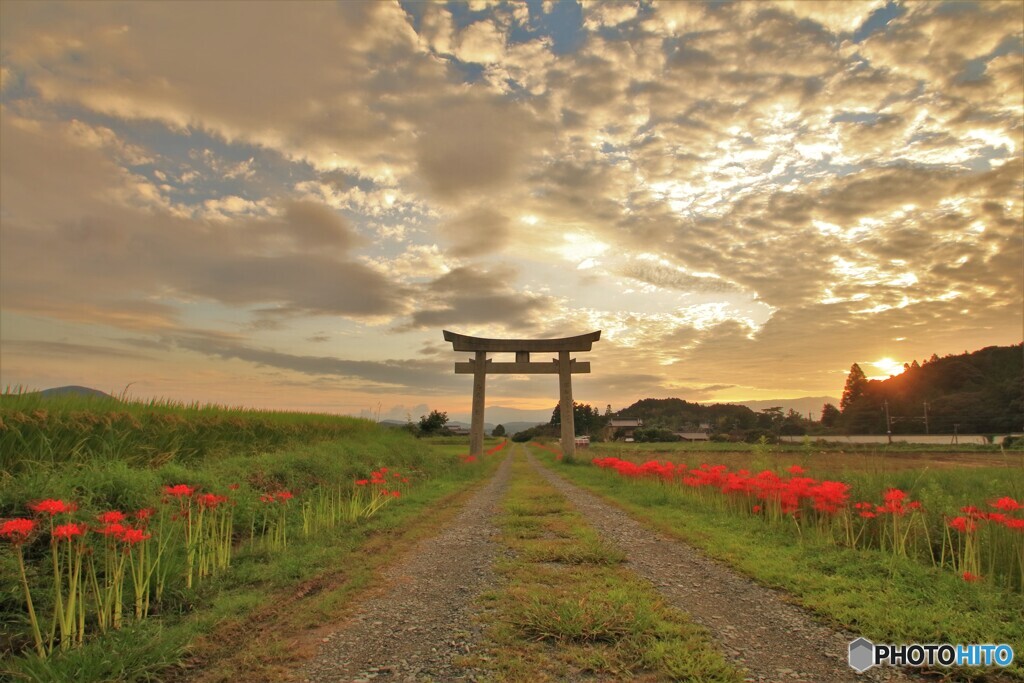 彼岸の朝