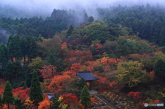 紅葉の山寺