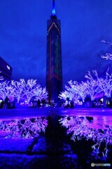 百道の夜
