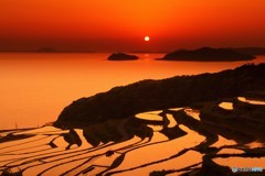 夕日の棚田