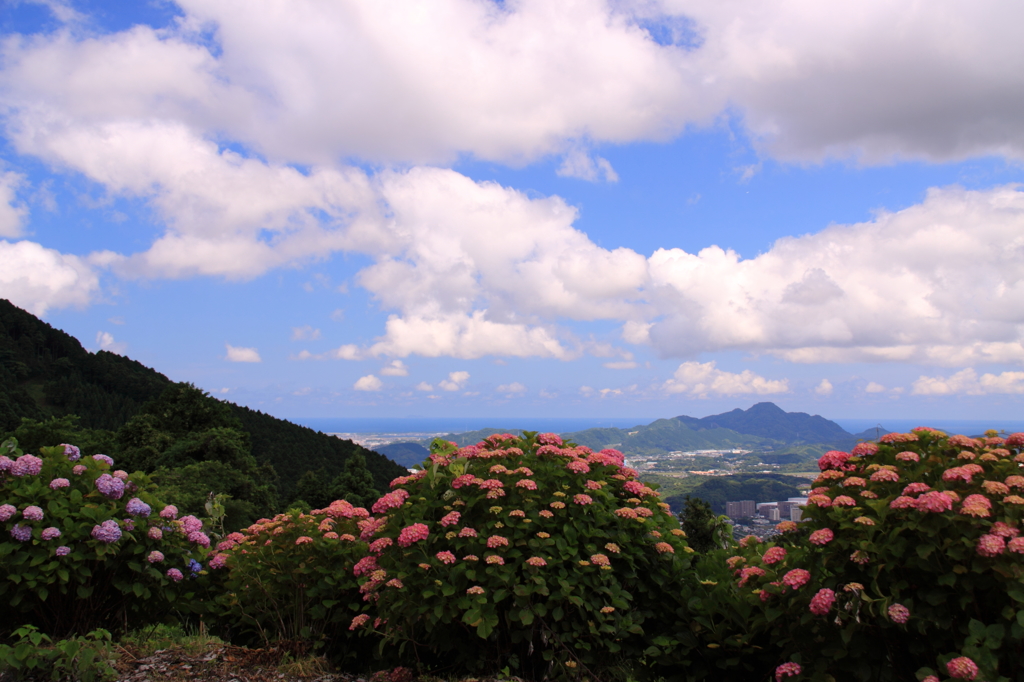 梅雨の晴れ間