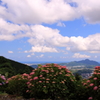 梅雨の晴れ間