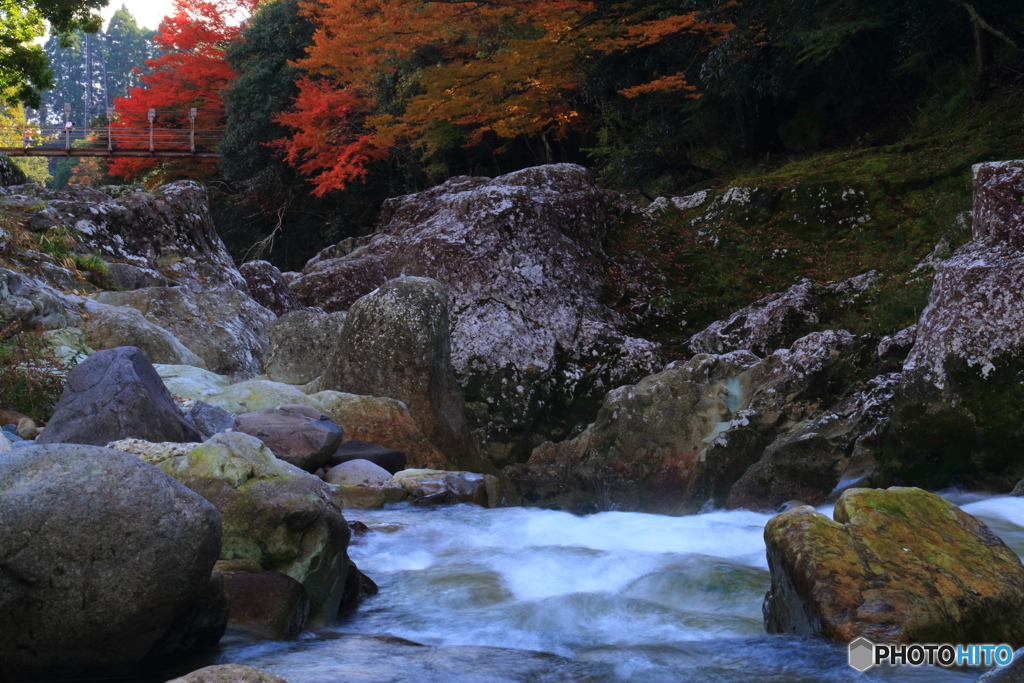 峡谷の紅葉