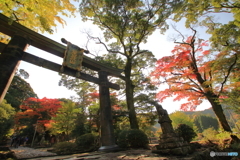 銅鳥居